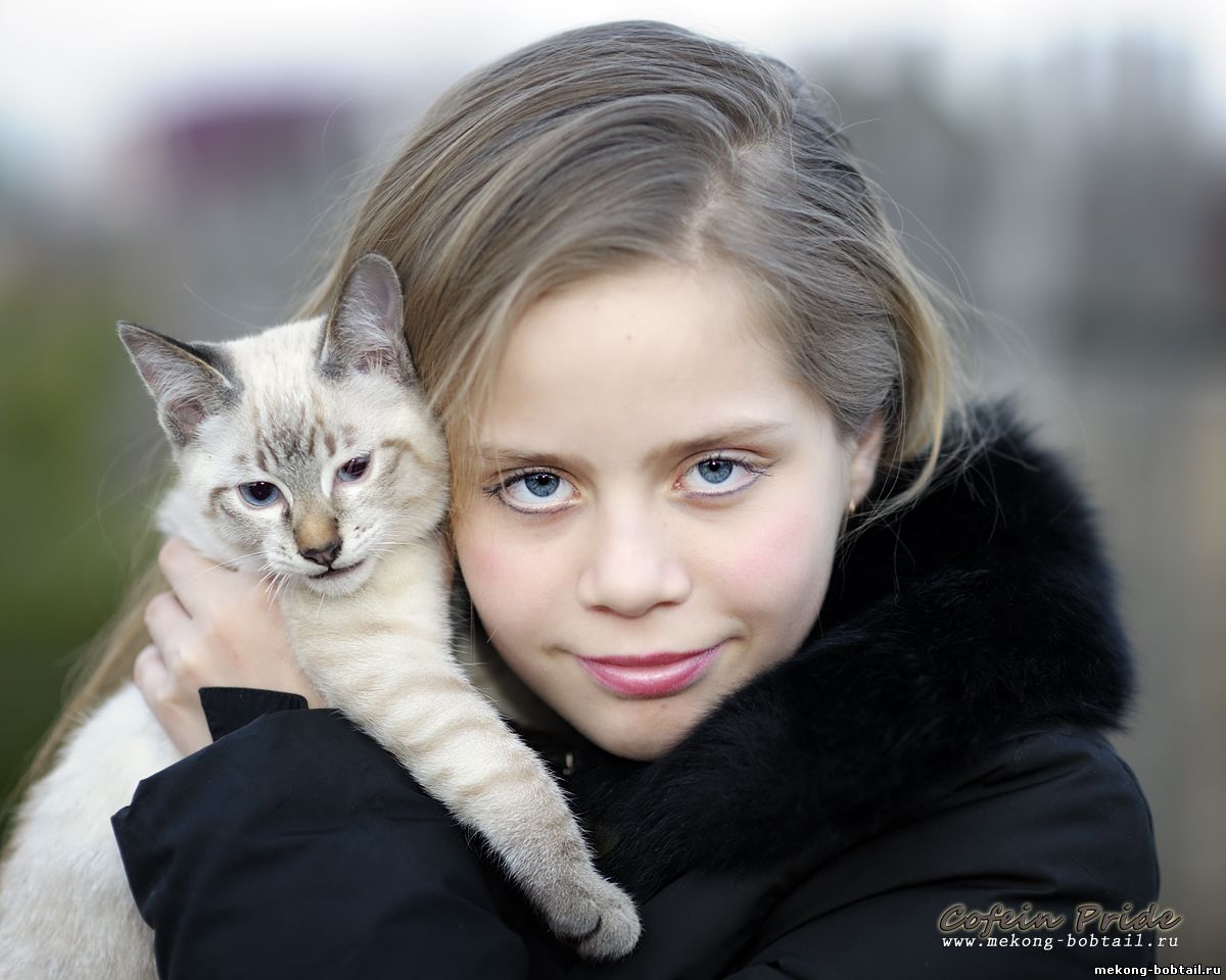 bobtail cat and girl