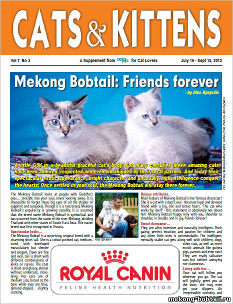 CATS & KITTENS magazine Dogs & pups