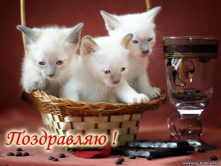 поздравляю